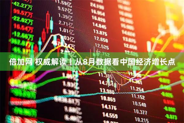 倍加网 权威解读丨从8月数据看中国经济增长点