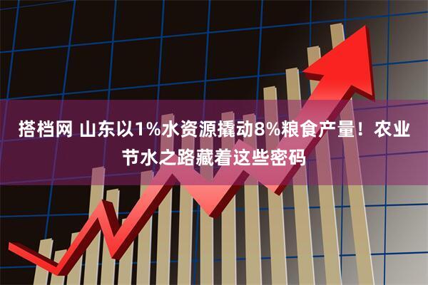 搭档网 山东以1%水资源撬动8%粮食产量！农业节水之路藏着这些密码