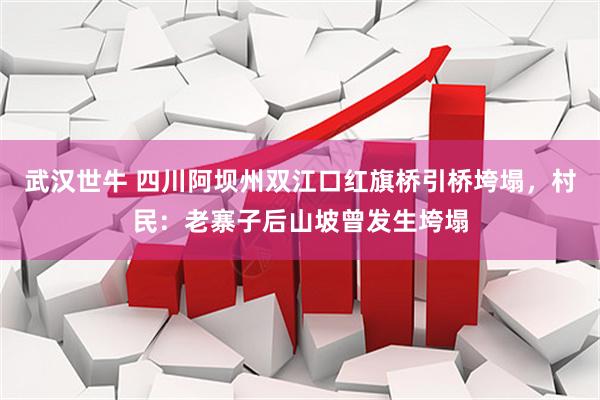 武汉世牛 四川阿坝州双江口红旗桥引桥垮塌，村民：老寨子后山坡曾发生垮塌