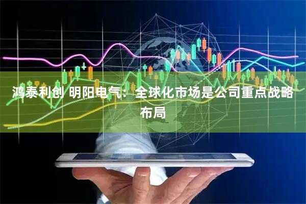 鸿泰利创 明阳电气：全球化市场是公司重点战略布局