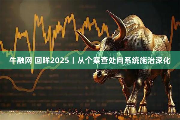 牛融网 回眸2025丨从个案查处向系统施治深化